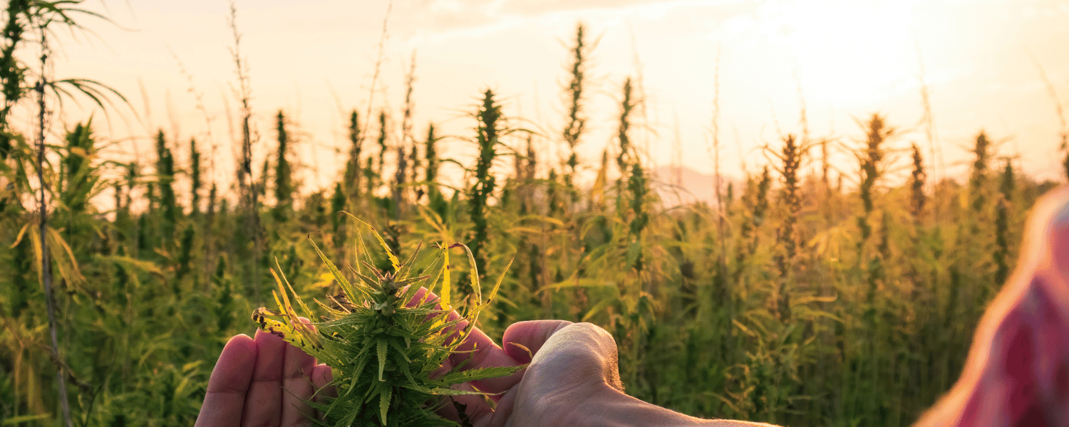 Progetto senza titolo (1)